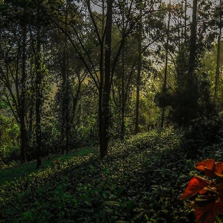 Southern Panorama Indriya Resorts & Spa Munnar Exterior photo